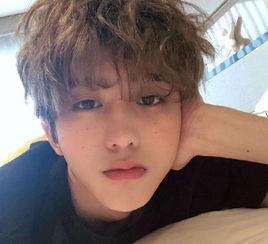 娱乐圈八卦吃瓜蔡徐坤,娱乐圈风云再起，揭秘“坤坤”背后的故事